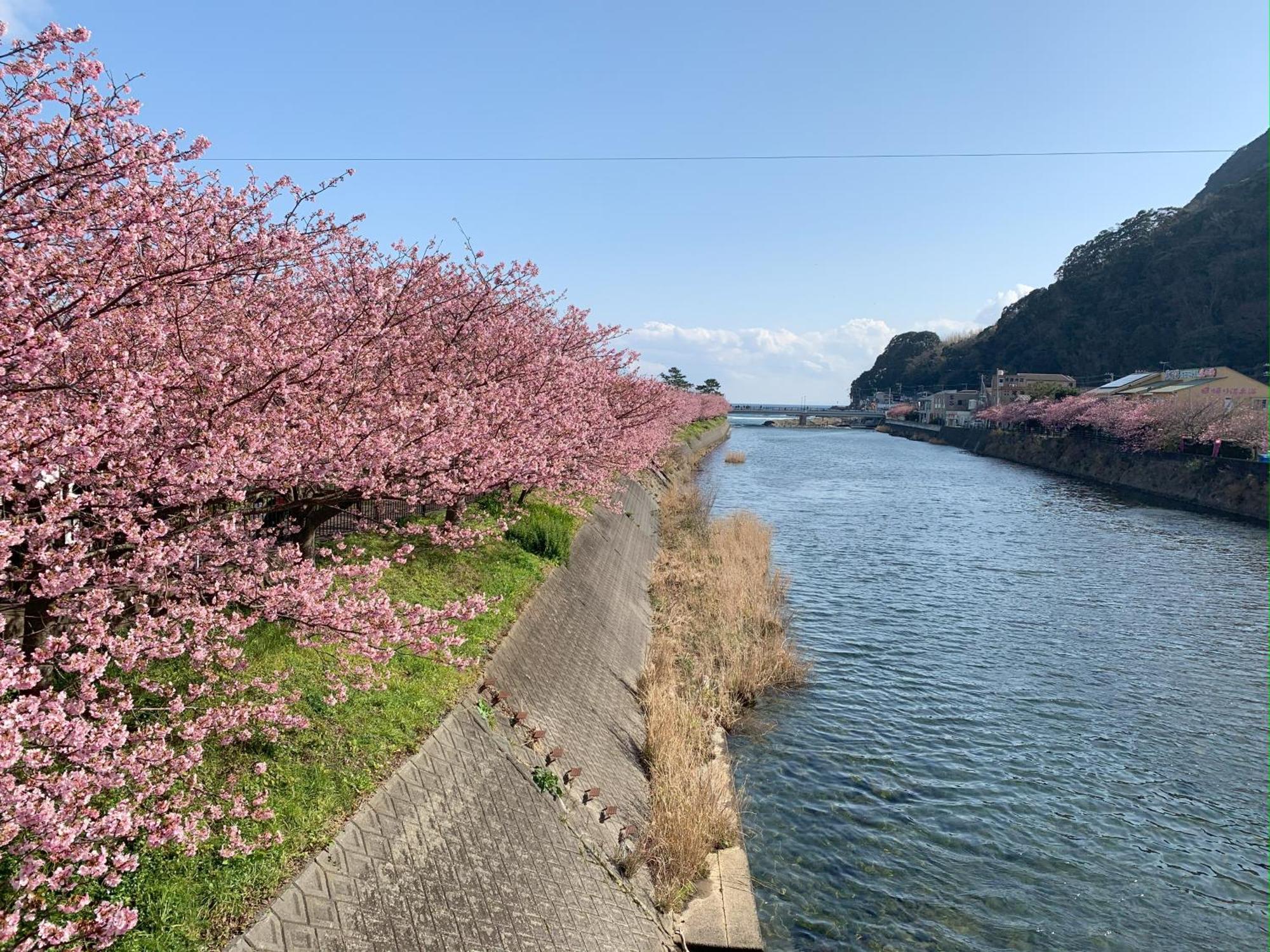 Villa 伊豆高原テラス-寛道- Ito  Exterior foto